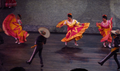 msr11-xcaret11.jpg (JPEG)