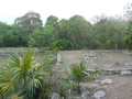 P1070816.JPG (JPEG)