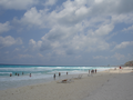DSC04402.JPG (JPEG)