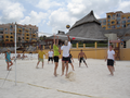 DSC04406.JPG (JPEG)