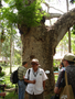 DSC04423.JPG (JPEG)