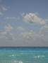 DSC04489.JPG (JPEG)
