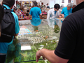DSC01111.jpg (JPEG)