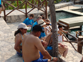 DSC01113.jpg (JPEG)