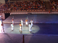 DSC01127.jpg (JPEG)