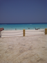 IMG-20110516-00354.jpg (JPEG)