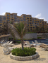 IMG-20110519-00366.jpg (JPEG)