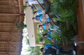 dsc_1015.jpg (JPEG)